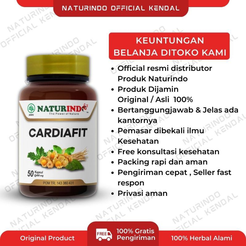 Obat herbal spesial jantung paling ampuh, herbal atasi lemah jantung, obat atasi jantung berdebar, herbal jantung lemah