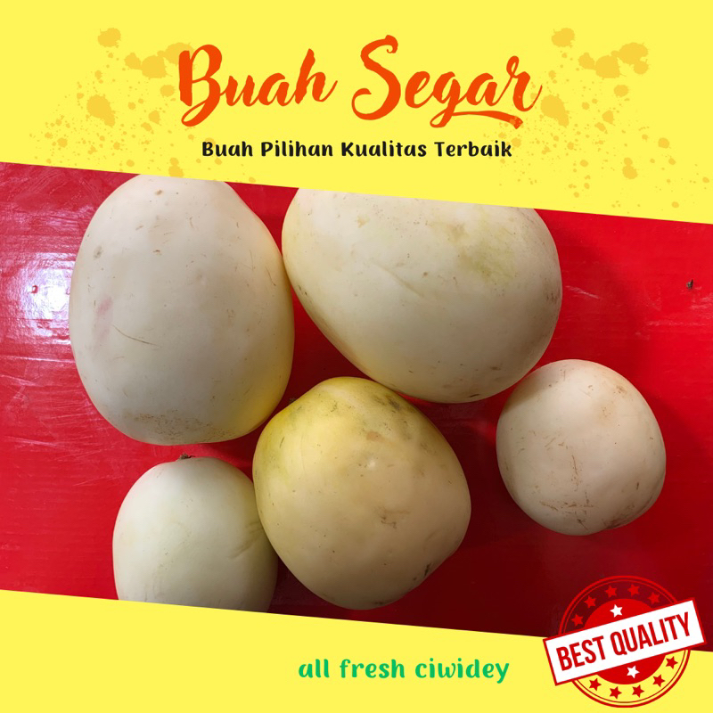 

timun suri 1000 gram matang/mentah