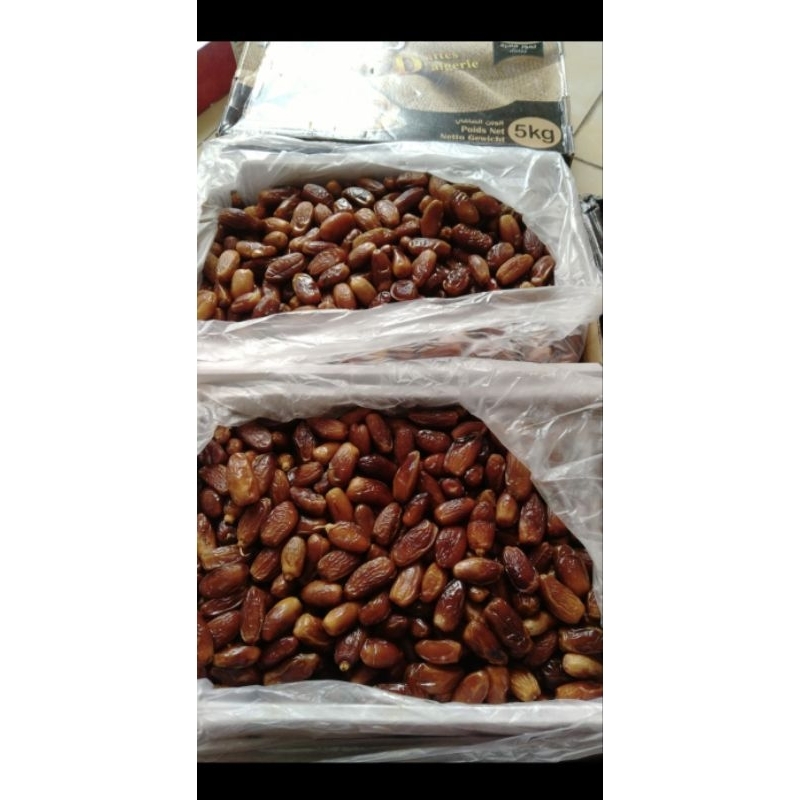 

KURMA TUNIS MADU || TUNIS MADU PREMIUM || KURMA TUNIS DARI TUNISIA