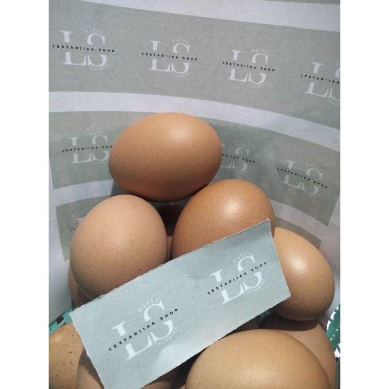 

TELUR AYAM LESTARI