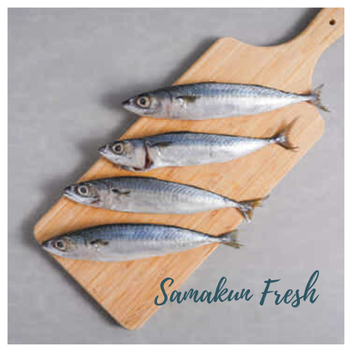 

Ikan Salem