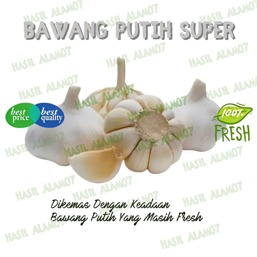 

Bawang Putih Segar Fresh 1 Kg Bawang Putih