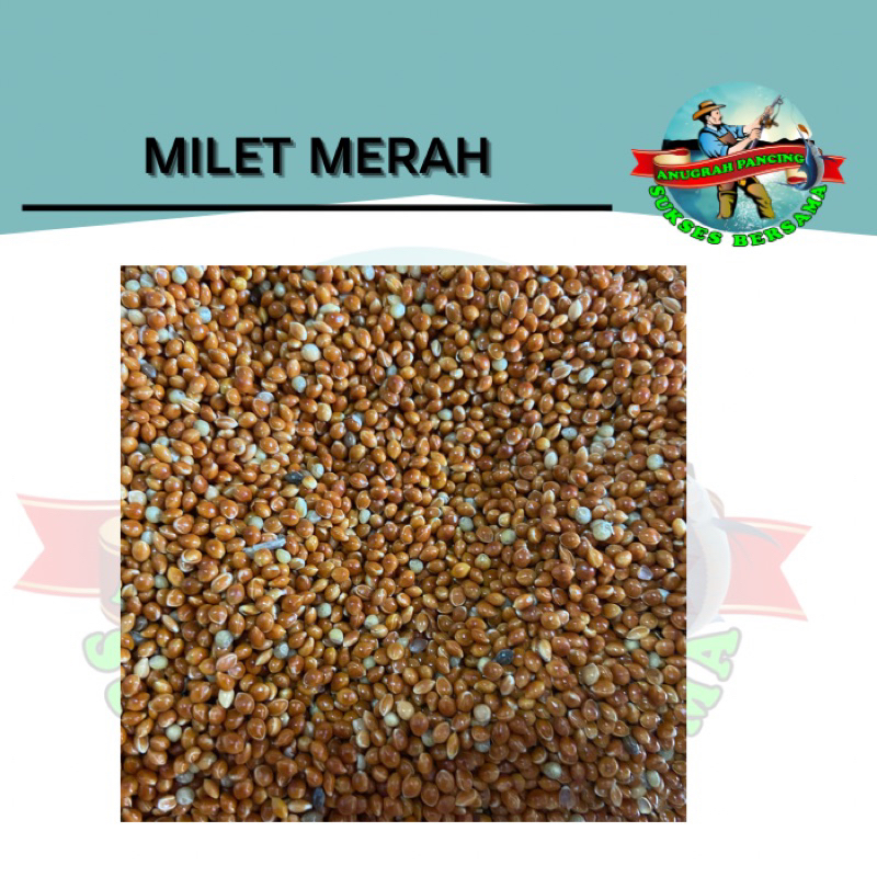 Milet Merah Pakan Hewan Perkutut, Kenari