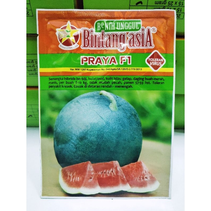 Benih Semangka PRAYA F1 20 Gram Bibit Semangka Cap Bintang Asia