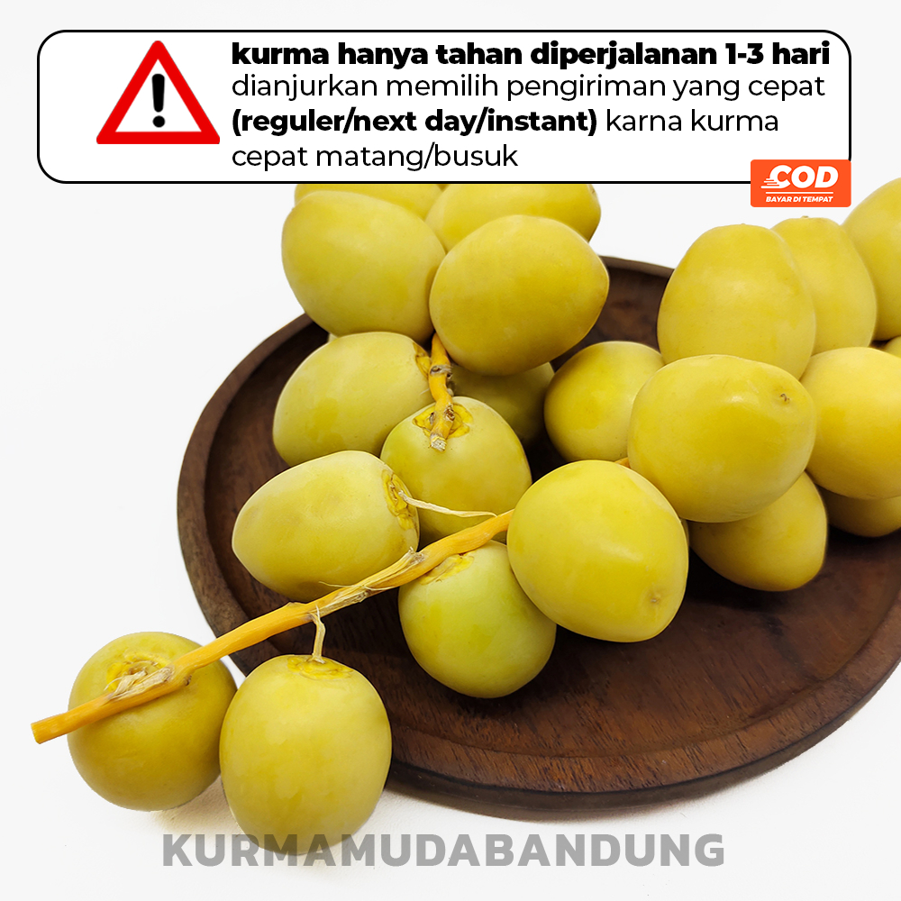 

KURMA MUDA RUTHOB BARHEE UNTUK PROMIL HAMIL 1 KG / Kurma Muda Promil / Kurma Muda Ruthob