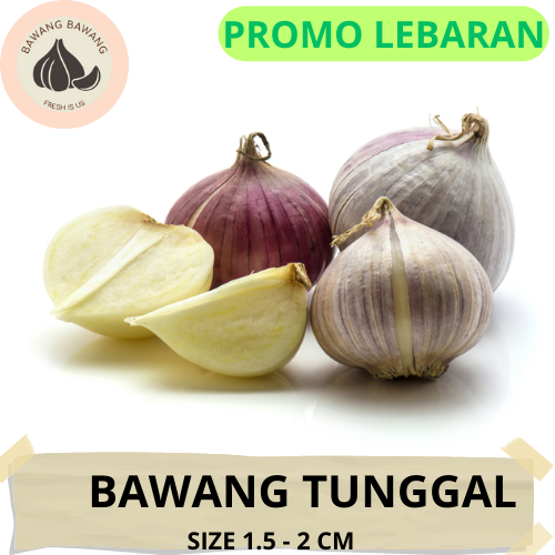 Bawang Putih Tunggal Lanang 1 Kg | Cocok untuk Madu