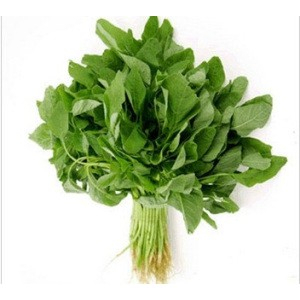 

SAYUR DAUN BAYAM FRESH 1 IKAT 200GR