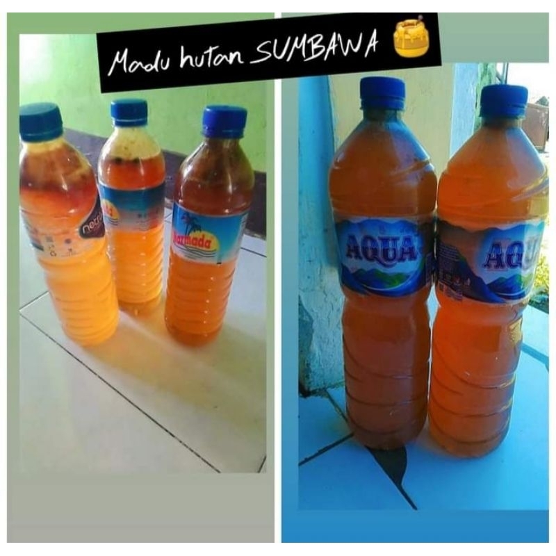 

Madu hutan SUMBAWA