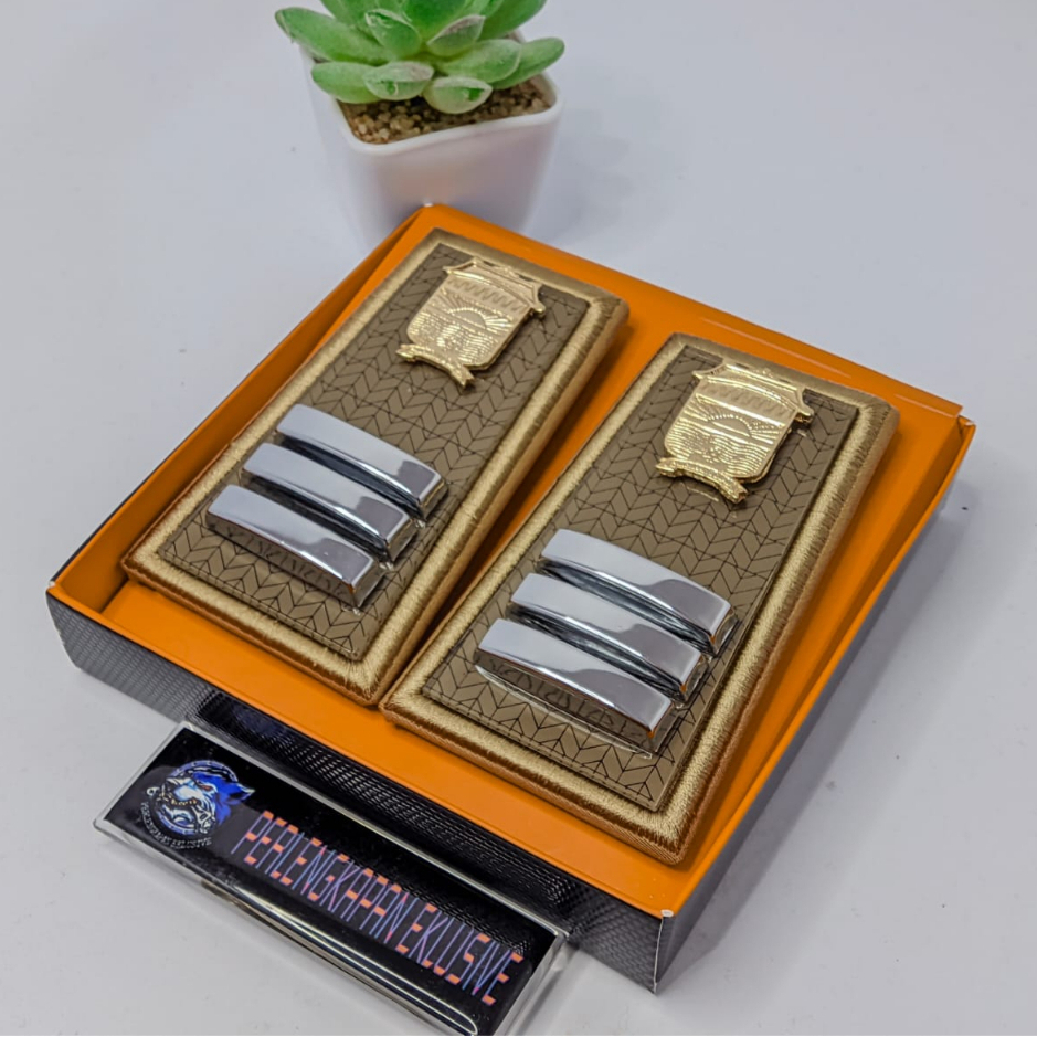 PANGKAT ASN PALEMBANG 2C - PANGKAT PNS PALEMBANG 2C - PNS PALEMBANG 2C - PANGKAT 2C - PANGKAT ASN PA