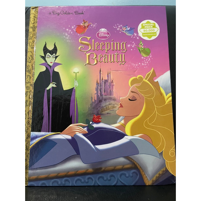 Sleeping Beauty Disney Book