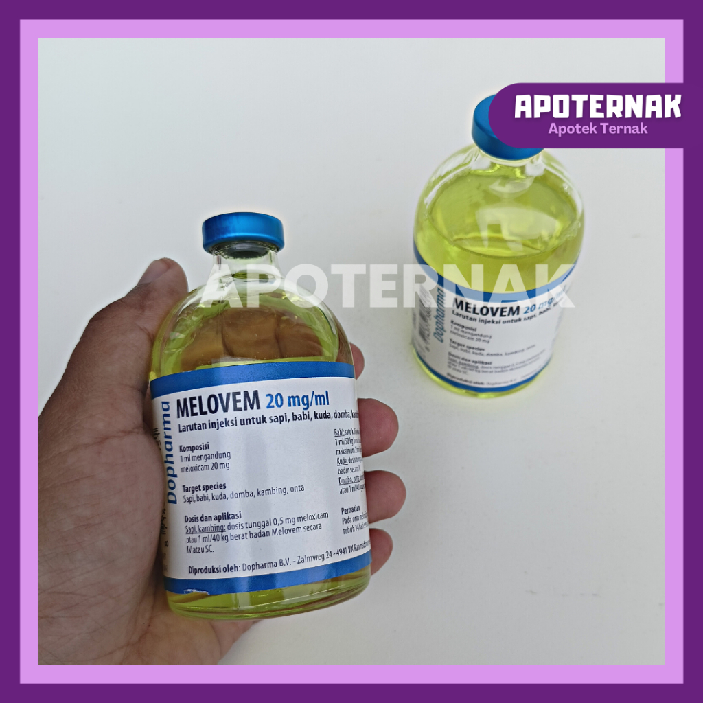 MELOVEM 100 mL | Injeksi Melovem 20 mg | Melovem Injeksi Hewan
