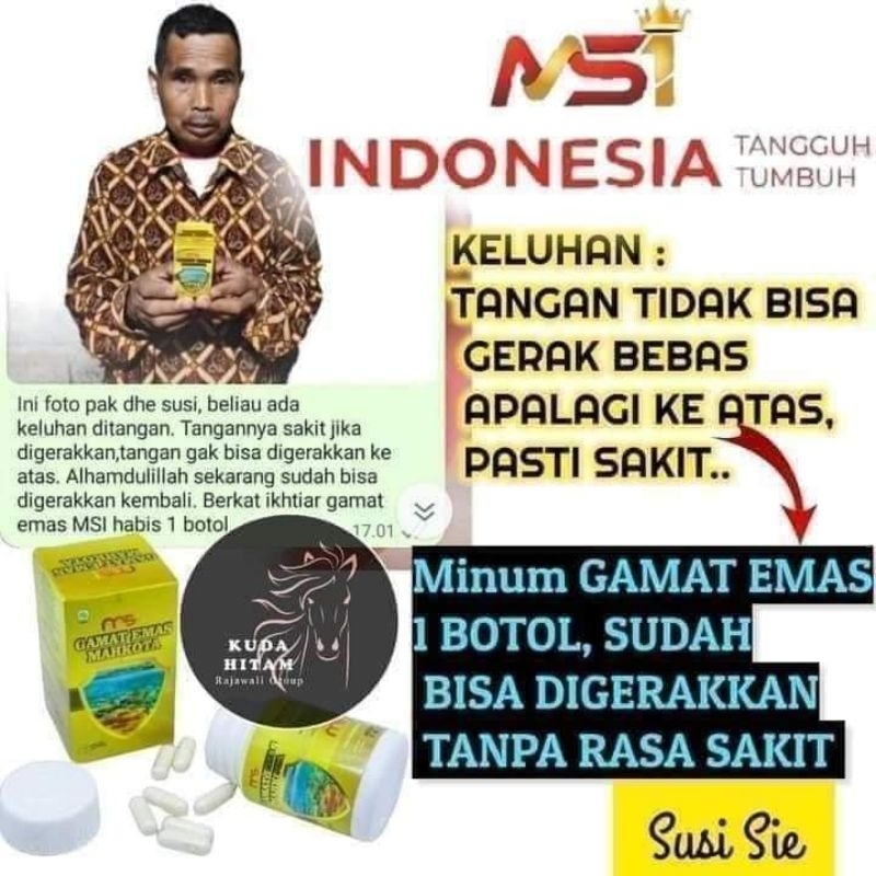GamatMSI