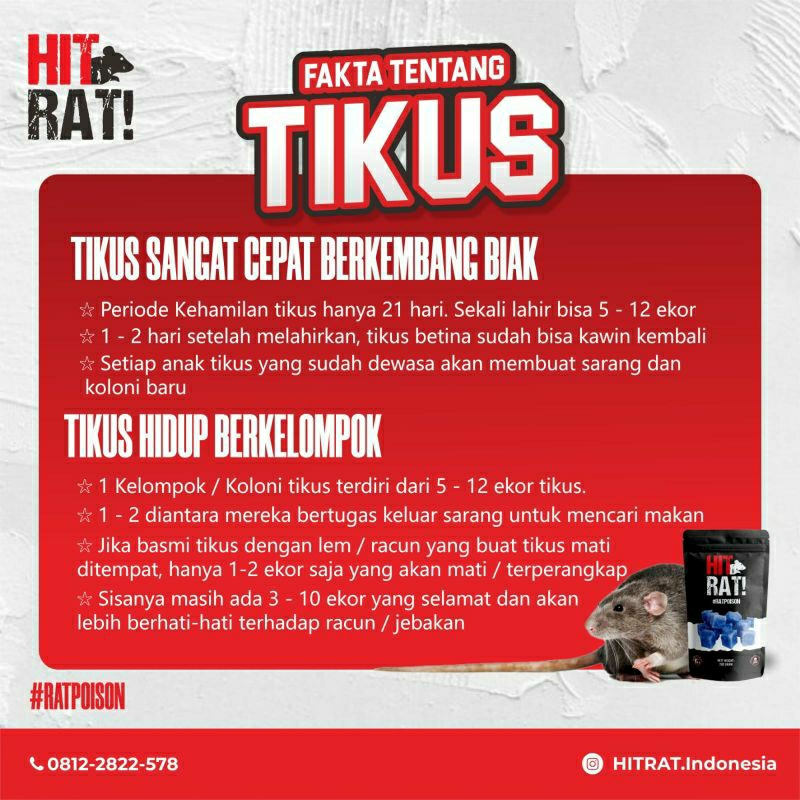 [BISA COD] Racun Tikus Ampuh Original Bentuk Blok Manjur Basmi Tikus Sawah HITRAT 200gr