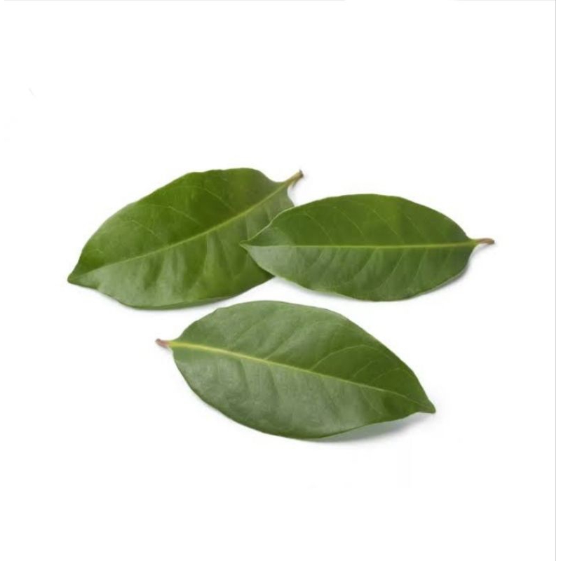 

DAUN SALAM BUMBU PENYEDAP MASAKAN