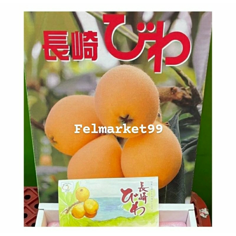 

Buah Luquat Biwa Nagasaki Japan High Grade | Buah biwa jepang premium | Box