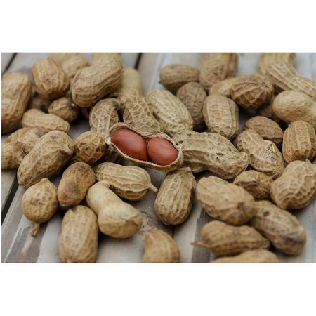 

kacang kulit sangrai rasa asin 500gram TERMURAH DISINI