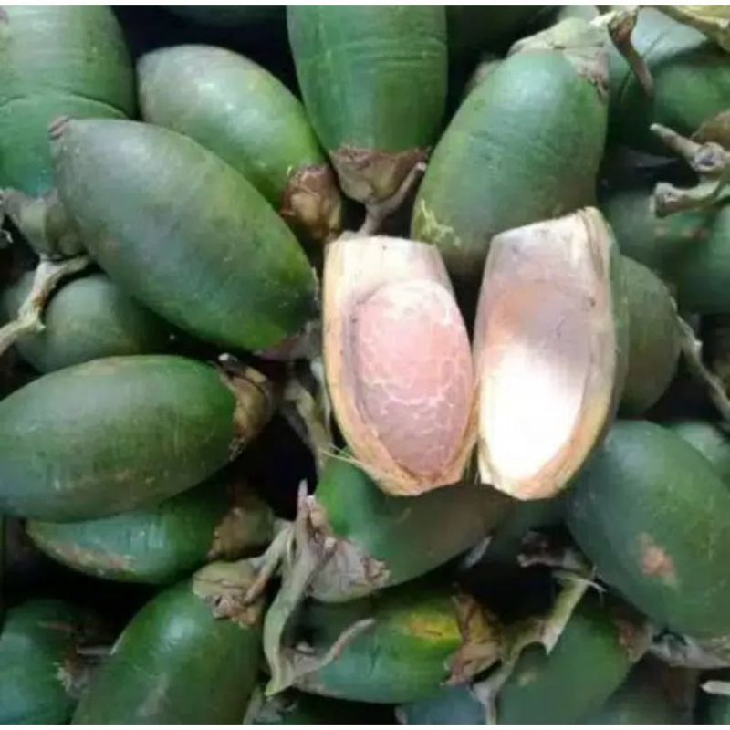 

Buah pinang/Jambe muda 1 kg