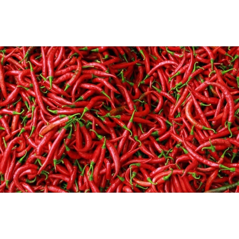 

Cabe Merah Keriting /cabai / sayuran fresh