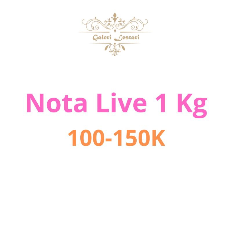 set celana pendek/rok +BAJU TIDUR ANAK bebiteri