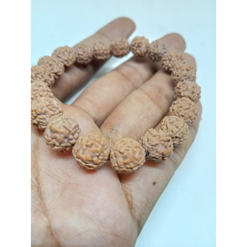 Gelang Jenitri Ganitri Alam Asli