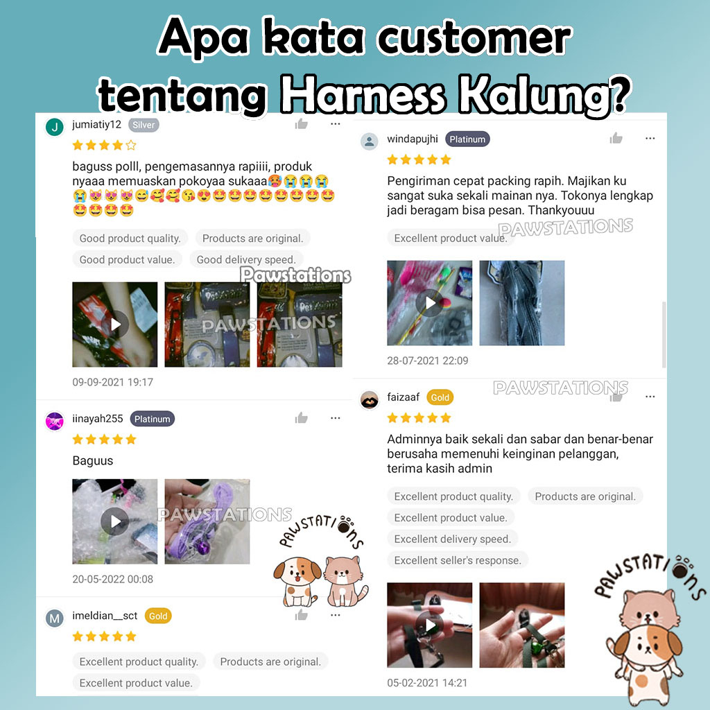 Tali Tuntun + Kalung Kucing dan Anjing Cat Leash Dog Leash