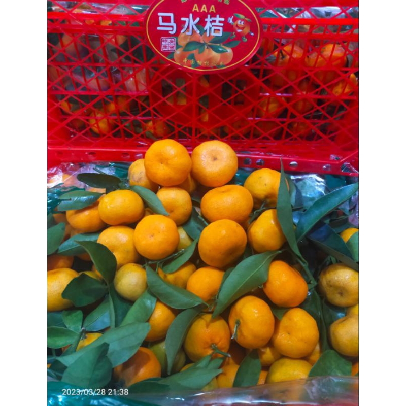 

Jeruk Santang orange daun / 1 Krat / 6kg