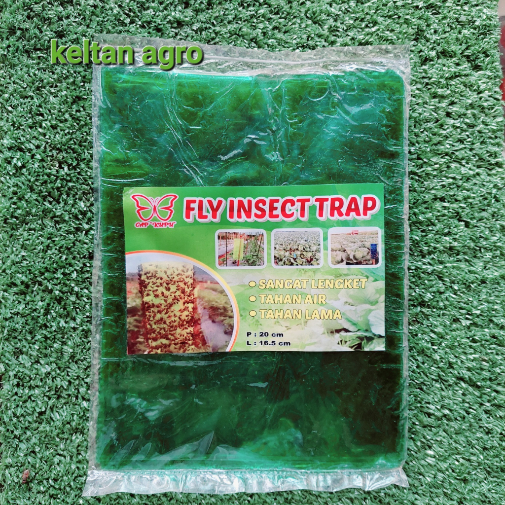 FLY INSECT TRAP ( perangkap serangga tanpa umpan )