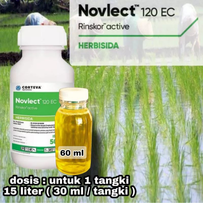 novlect 120 ec / novlek / herbisida untuk rumput pada padi / herbisida selektif padi / herbisida rum