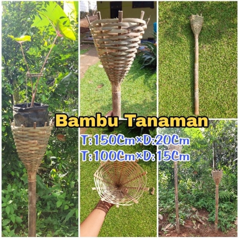 Bambu Tanaman/Tiang Penyangga Tanaman/Turus Bambu Tanaman