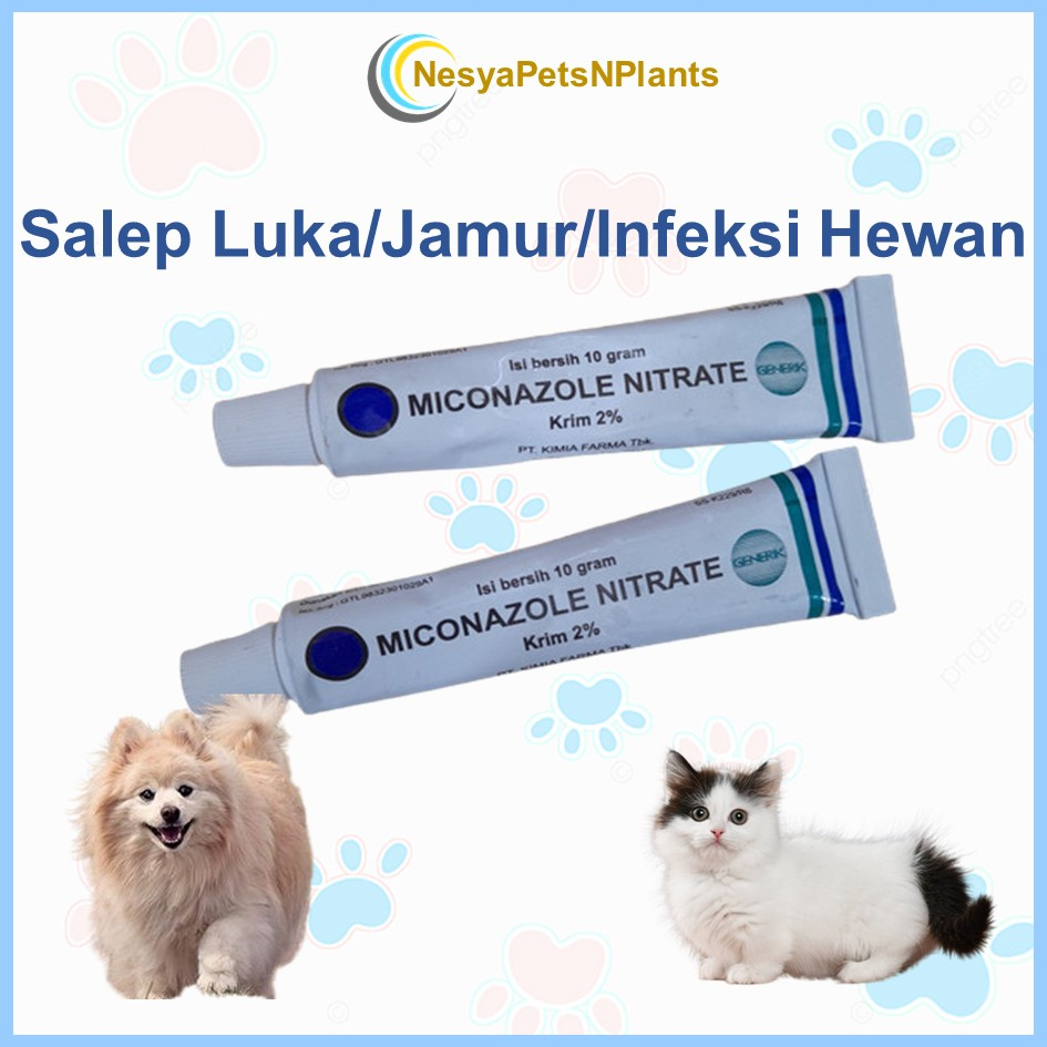 Obat Salep Miconazole Nitrate 10g Jamur Luka Infeksi Kucing Anjing Non Scabies Derma