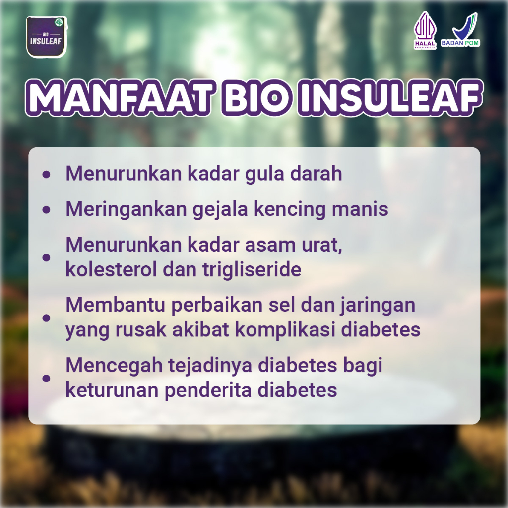 Bio Insuleaf Original Bantu Atasi Gula Darah DIabetes Paket 2 Botol Isi 250ml