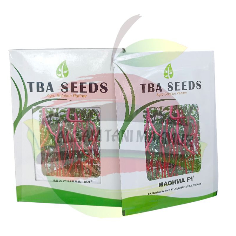 Benih Cabai Keriting MAGHMA F1 isi 10 gram TBA SEED