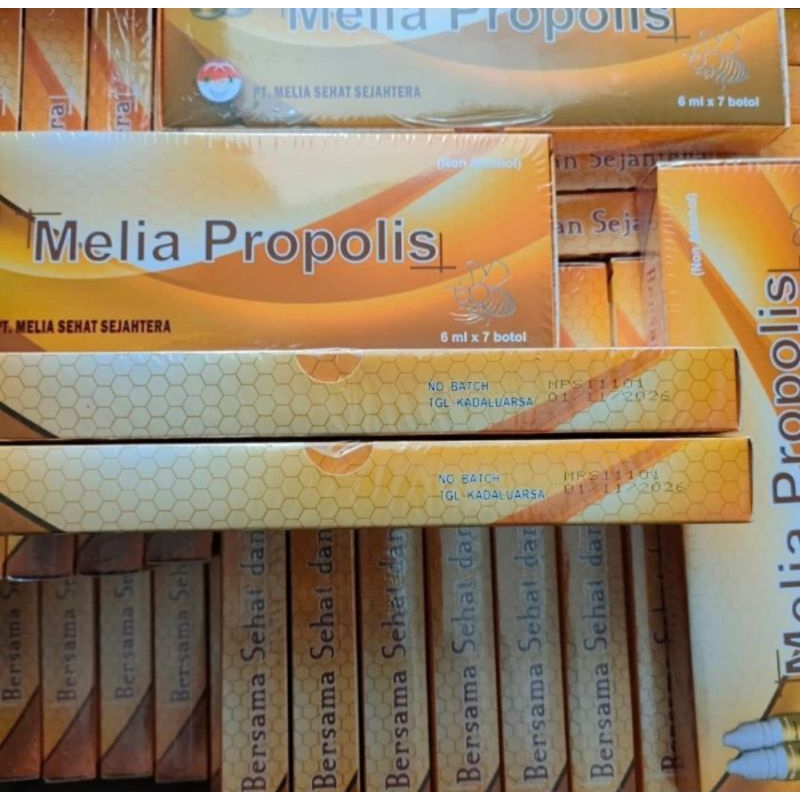 Propolis Melia 6ML 100% Melia propolis 1BOX