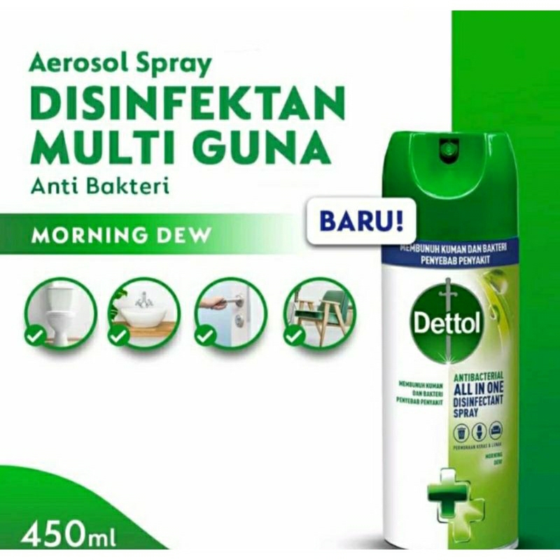 Dettol All In One Disinfectant Spray Morning Dew 450ml