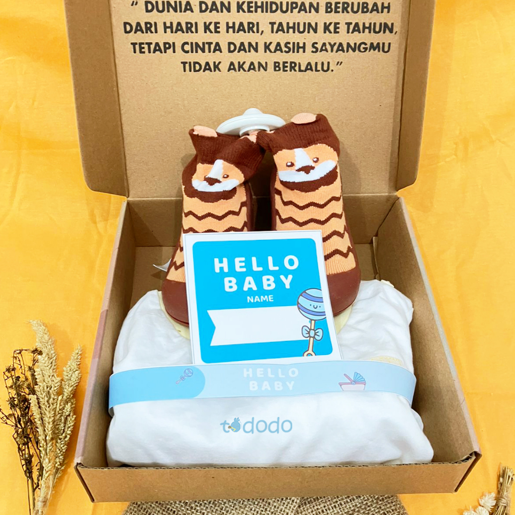 Hampers Bayi Baby Gift Set Tododo Kado Lahiran Parcel Bayi Laki-Laki Perempuan