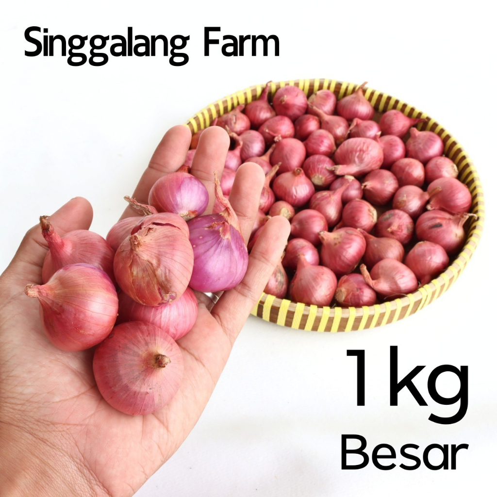 

Bawang Merah Singgalang Besar 1.000gr
