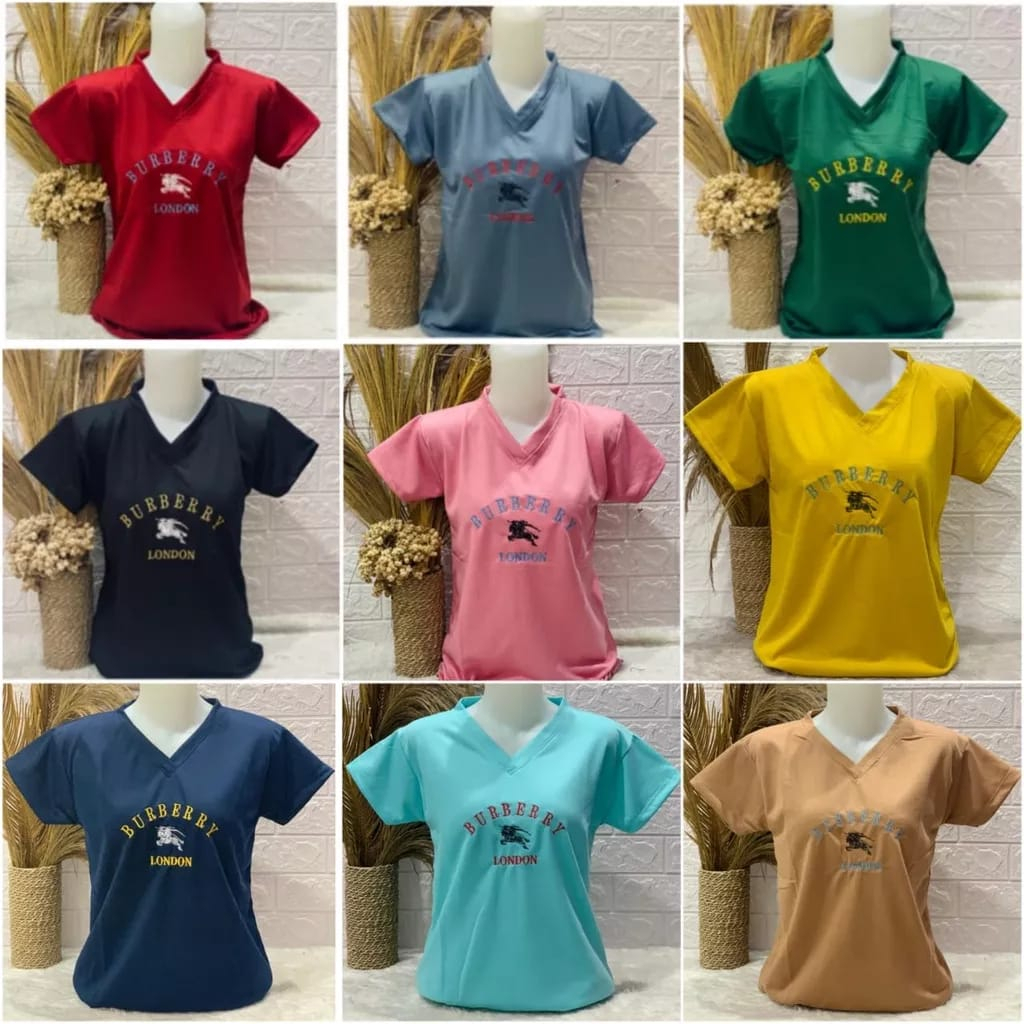 Kaos Bordir Wanita V Neck Branded Baby Terry Murah