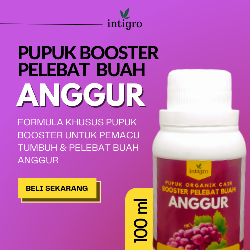 Pupuk Booster Buah Anggur / Pupuk Pelebat Buah Anggur / Pupuk Anggur Cepat Berbuah Besar dan Manis /