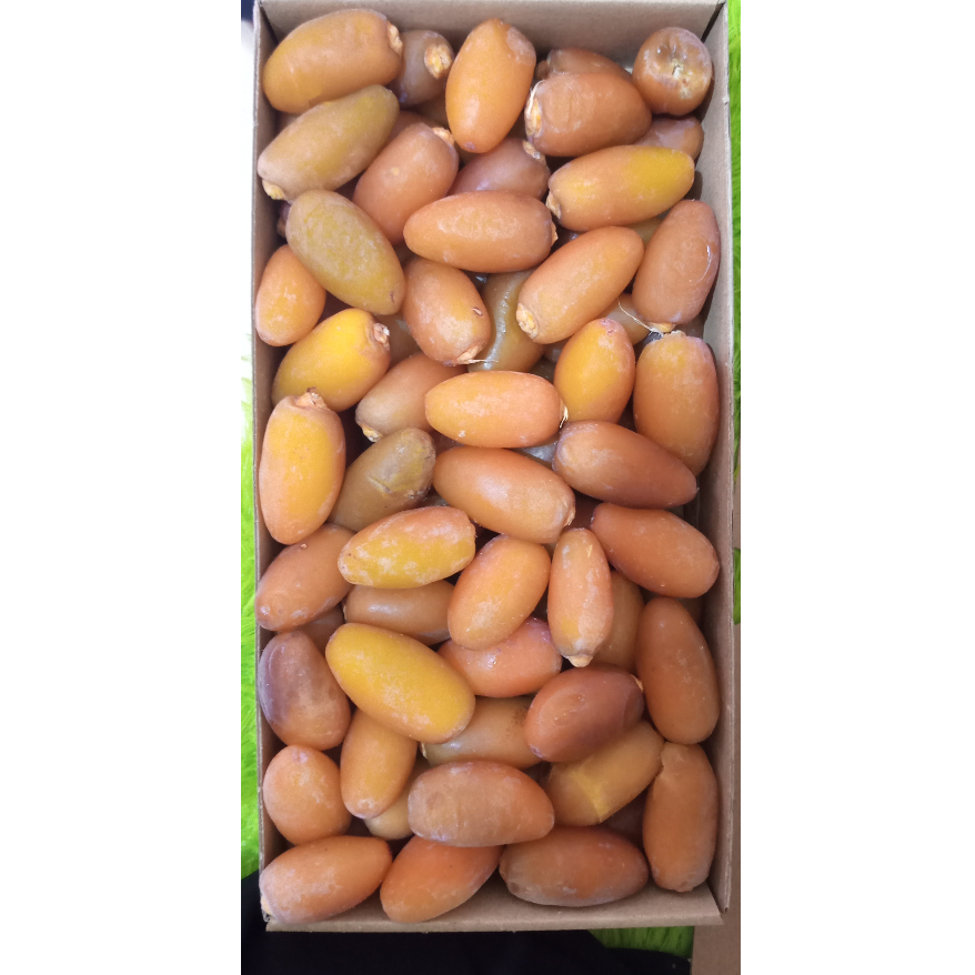 

COD Kumra Terbaik Ruthob Libya kruma basah kurma segar (BEST QUALITY) 1KG