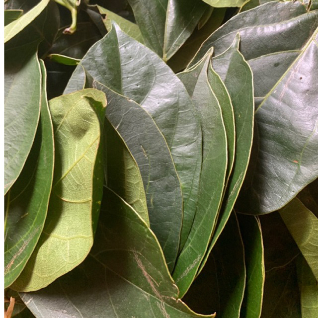 

daun cingcau hijau perdu 1kg