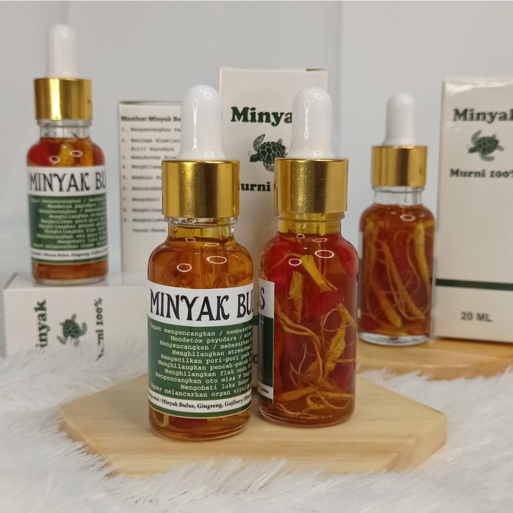 MINYAK BULUS ASLI ORIGINAL EXSTRA GINGSENG OBAT PEMBESAR PAYUDAR AMPUH PERMANERN MINYAK BULUS PEMBES
