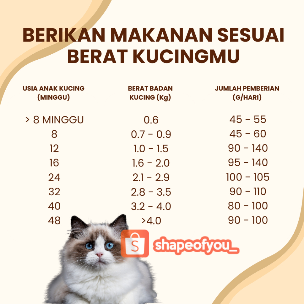 Whiskas Dry Cat Food Freshpack 450gr Wiskas 1.2 kg Junior Makanan Kering Kucing Kitten Adult Wishkas