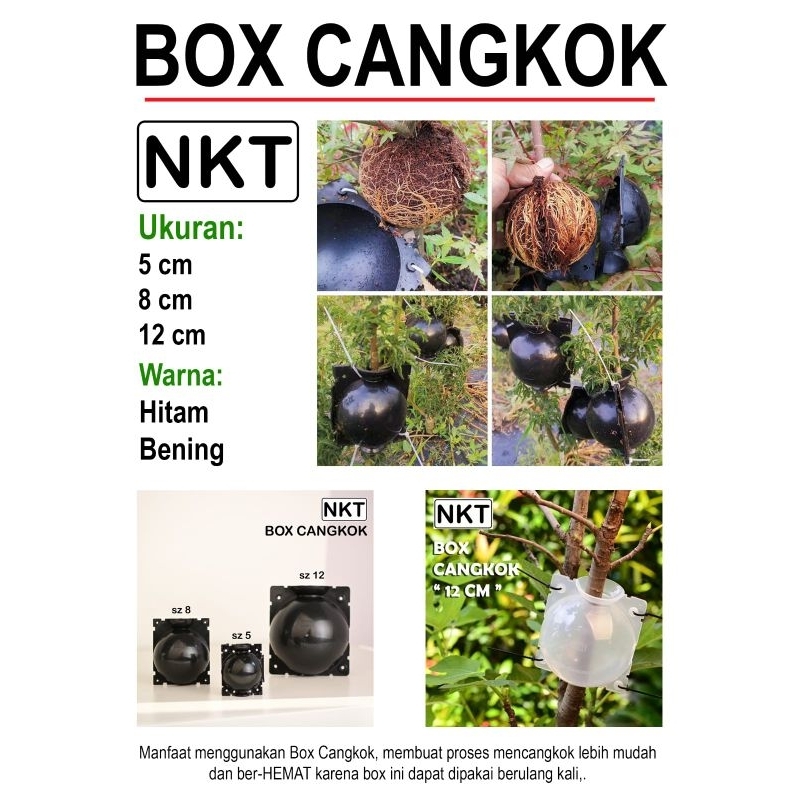 (1 pax isi 3 set) NKT CANGKOK M (8cm) : box untuk mencangkok tanaman dan bunga praktis dapat dipakai ulang