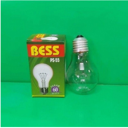 Paket 10 Pics lampu bohlam pijar 60 watt 60W lampu penghangat