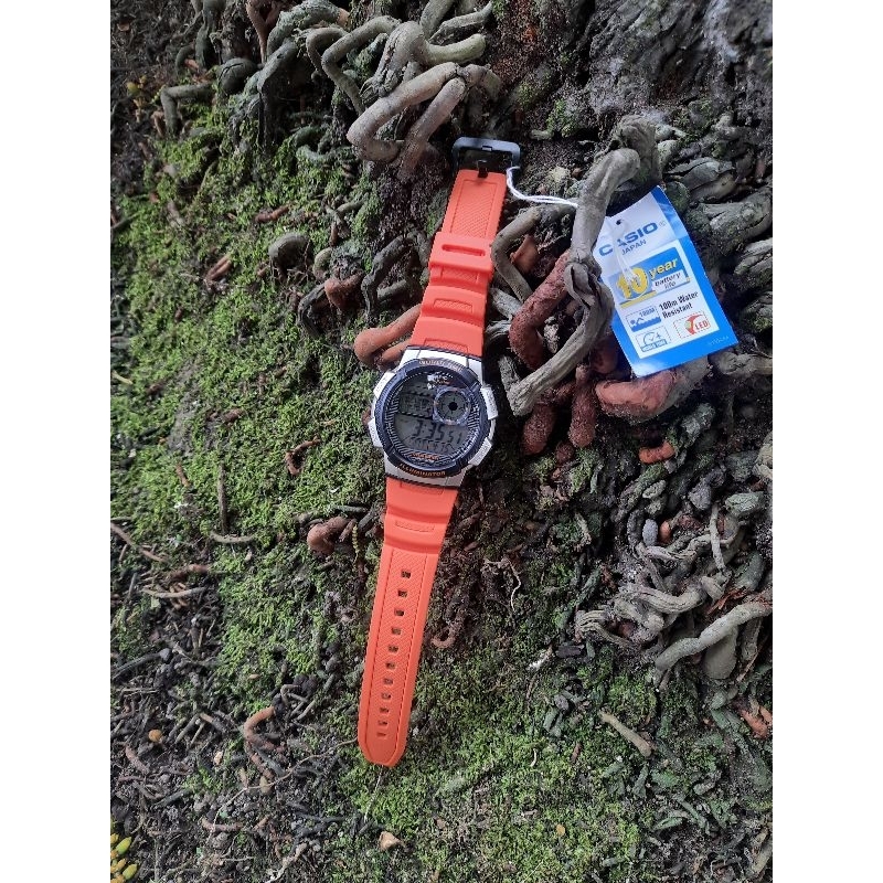 ae1000w casio