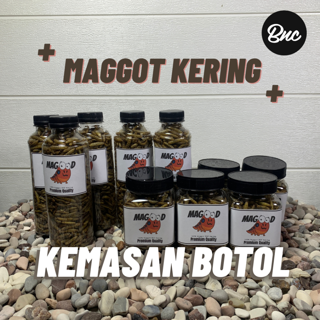 Maggot Kering Magot Dry Maggot Pakan Ikan Terbaik Tidak Berminyak Kualitas Terbaik Kemasan Botol Cha