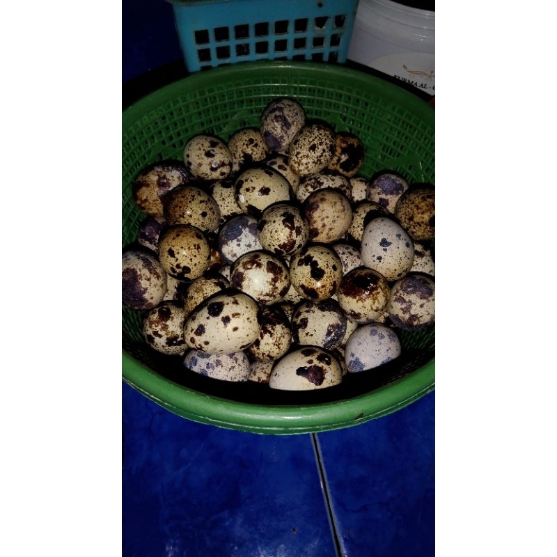 telur puyuh 1/2 kg