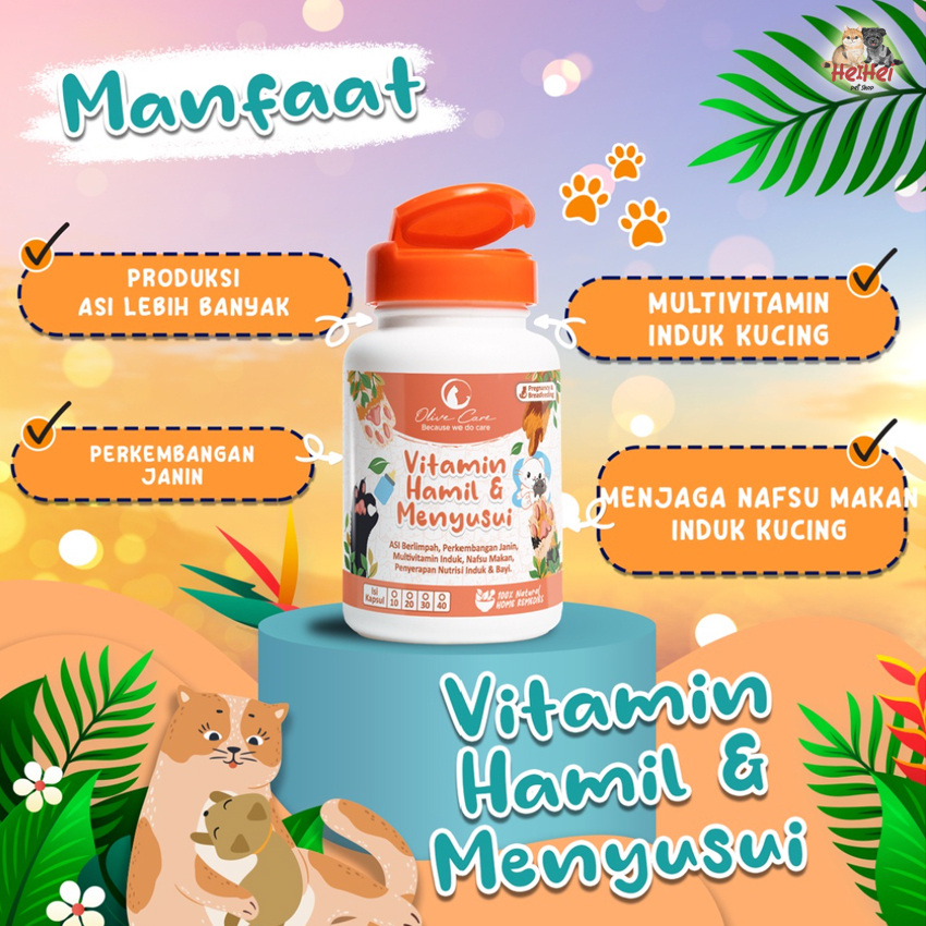 Olive Care Cat Vitamin Kucing Hamil &amp; Menyusui - Untuk Produksi Asi, Perkembangan Bayi, Multivitamin Induk Kucing