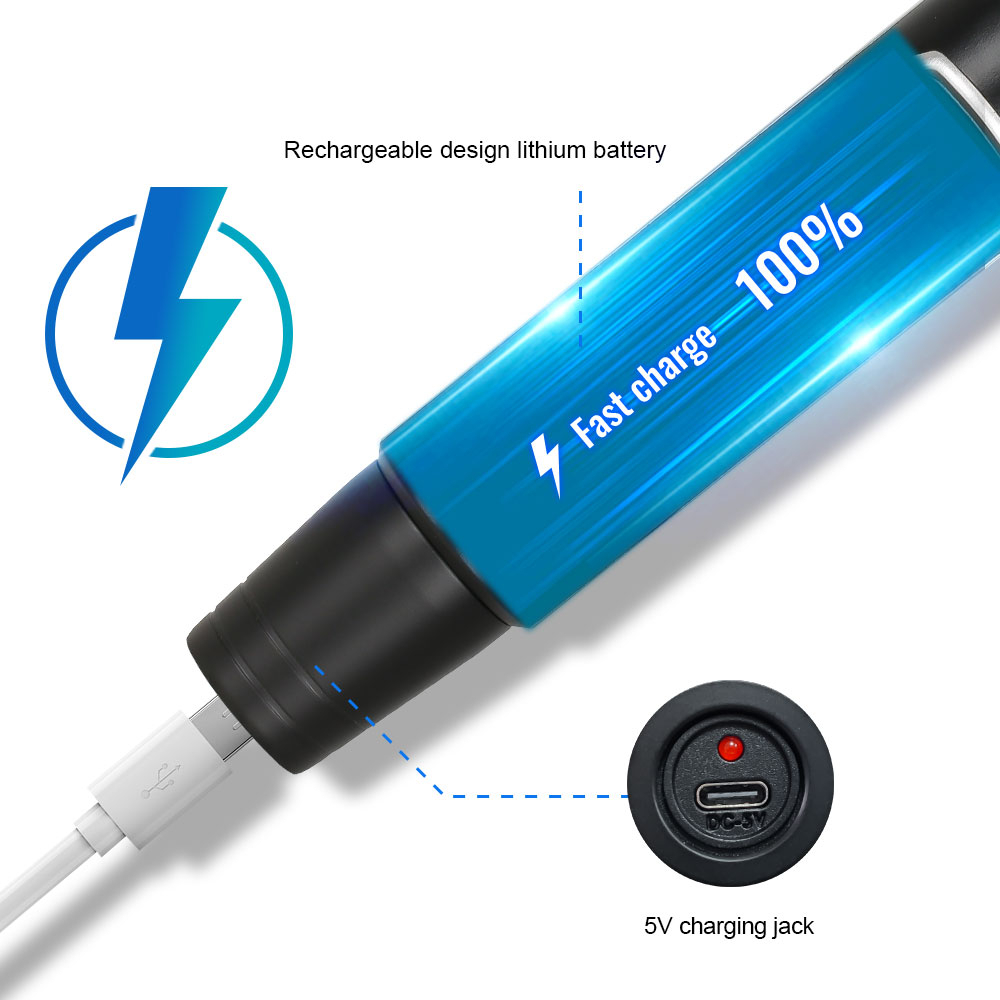 VP-606 Penerima Mikrofon Nirkabel Profesional Terbaru dengan Antarmuka USB UHF Satu-Dua dengan Mikrofon Nirkabel Asli yang Dapat Diisi Ulang