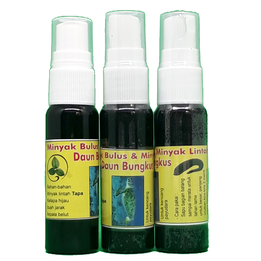 OBAT KUAT OLES SEX PRIA TAHAN LAMA MINYAK URUT MINYAK BULUS 7004 MELANCARKAN PEREDARAN DARAH MEMPERB